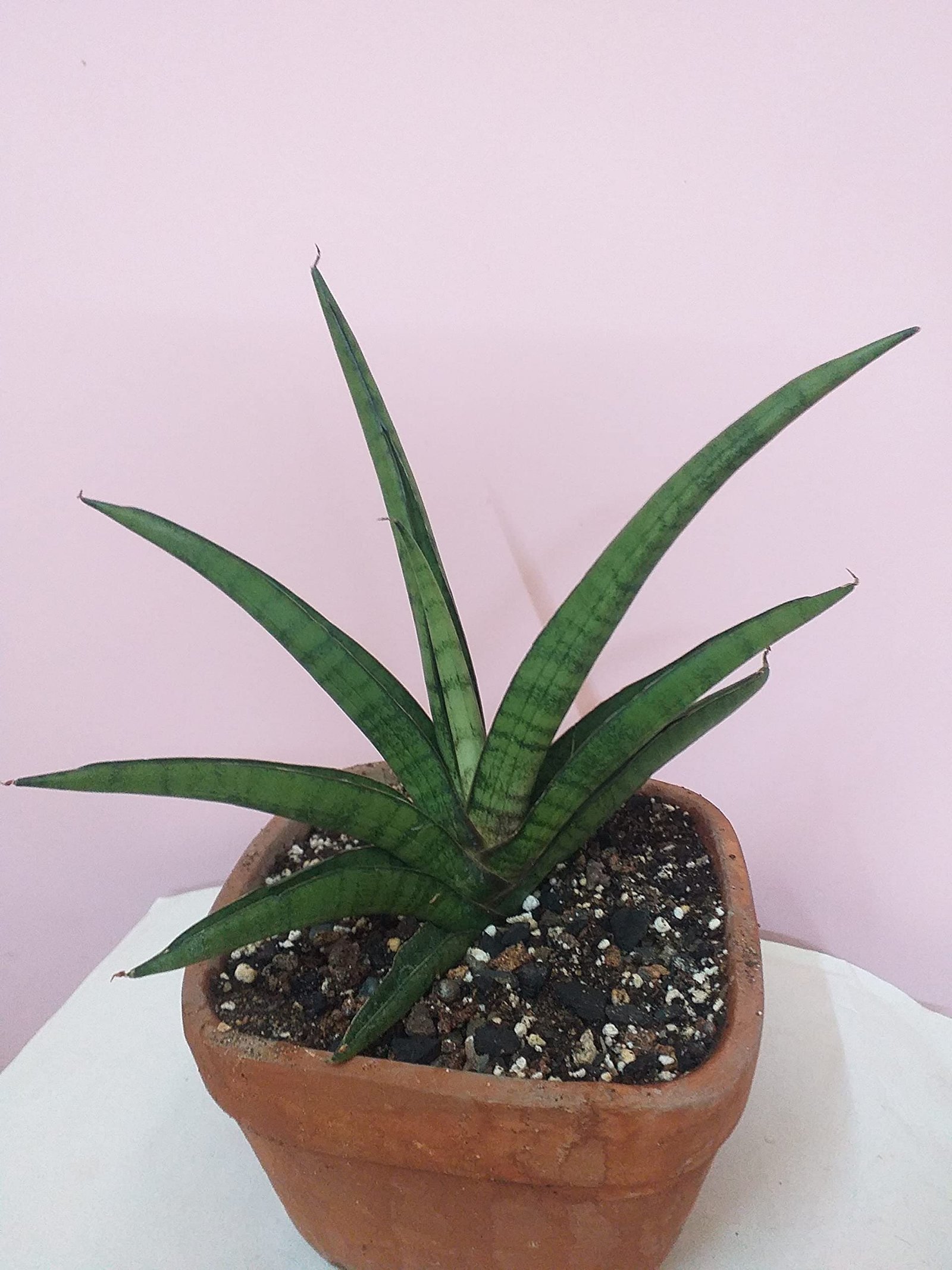 Ravana K10 (રાવણ K10)